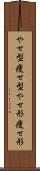 やせ型 Scroll