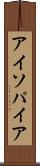 アイソパイア Scroll