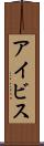 アイビス Scroll