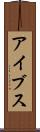 アイブス Scroll