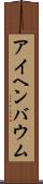 アイヘンバウム Scroll