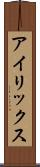 アイリックス Scroll