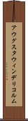 アウグスタウィンデリコルム Scroll
