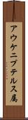 アウケニプテルス属 Scroll