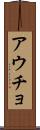 アウチョ Scroll