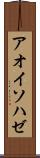 アオイソハゼ Scroll