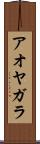 アオヤガラ Scroll