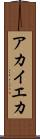 アカイエカ Scroll