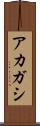 アカガシ Scroll