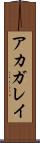 アカガレイ Scroll