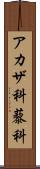 アカザ科 Scroll