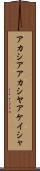 アカシア Scroll