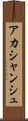 Akashanshu Scroll