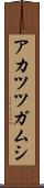 アカツツガムシ Scroll