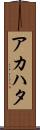 アカハタ Scroll