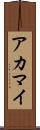 アカマイ Scroll