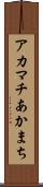 アカマチ Scroll