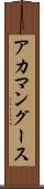アカマングース Scroll
