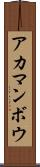 アカマンボウ Scroll