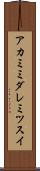 アカミミダレミツスイ Scroll