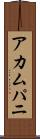 アカムパニ Scroll