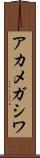 アカメガシワ Scroll