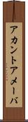 アカントアメーバ Scroll