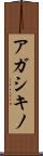 アガシキノ Scroll
