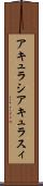 アキュラシ Scroll