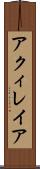 アクィレイア Scroll