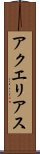 アクエリアス Scroll