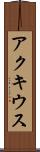 アクキウス Scroll