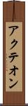 アクテオン Scroll
