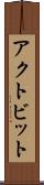 アクトビット Scroll