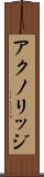 アクノリッジ Scroll