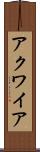 アクワイア Scroll