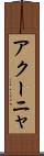 アクーニャ Scroll