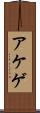アケゲ Scroll