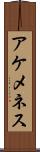 アケメネス Scroll