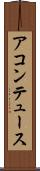 アコンテュース Scroll