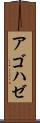 アゴハゼ Scroll