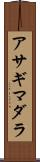 アサギマダラ Scroll