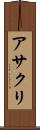 アサクリ Scroll