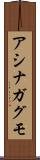 アシナガグモ Scroll