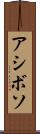 アシボソ Scroll