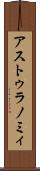 アストゥラノミィ Scroll