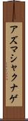 アズマシャクナゲ Scroll