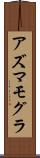 アズマモグラ Scroll