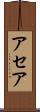 アセア Scroll