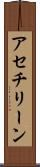 アセチリーン Scroll